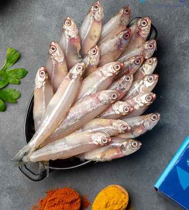 Indian Anchovy/Natholi/Thogai meen/Poravallu - A favourite among Fish ...
